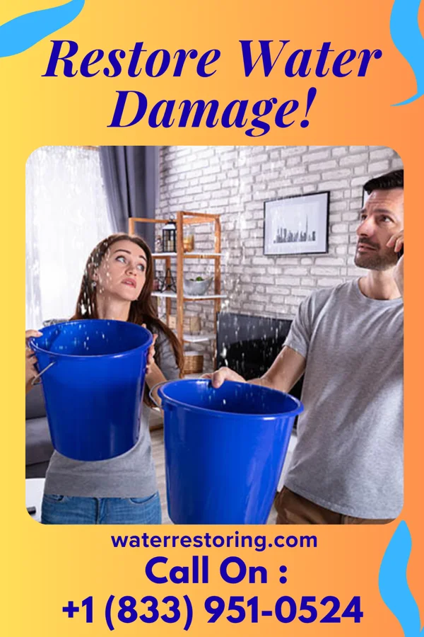 water restoration Citywide Damage Restoration Solutions Willis