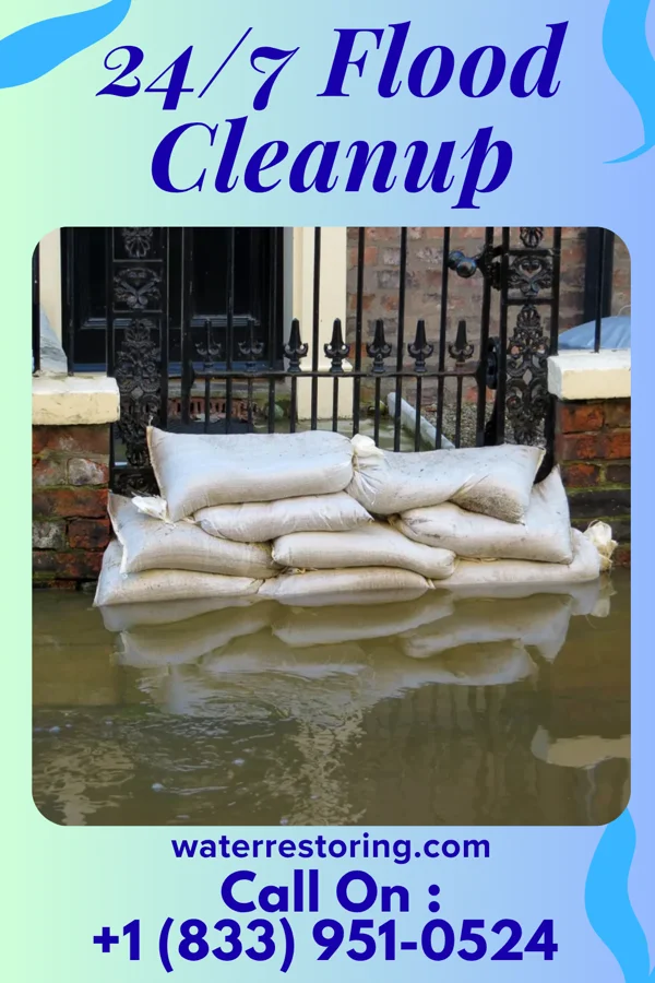 24/7 Flood Cleanup in Willis, TX