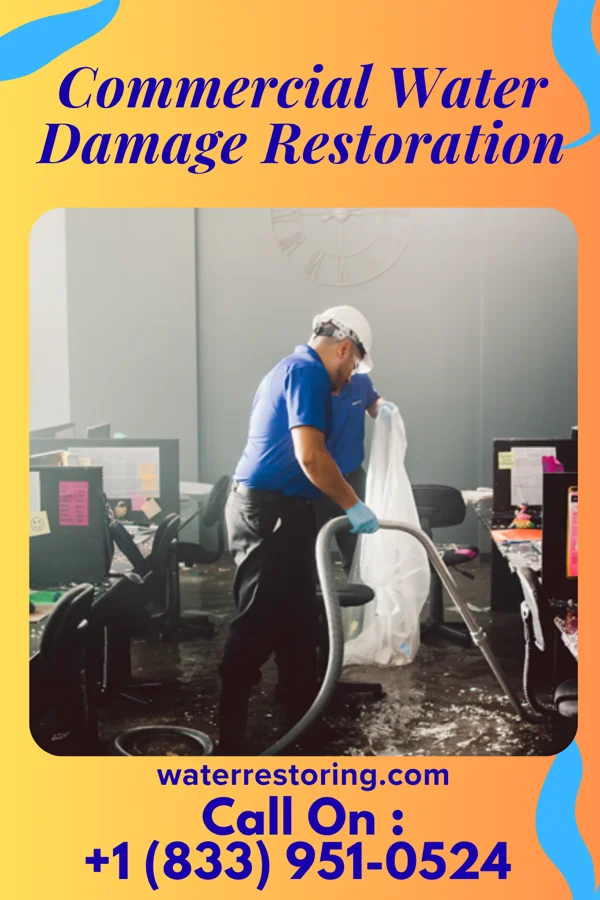 Commercial Water Damage Restoration in Willis, TX